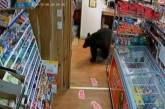 Ведмідь зайшов на заправку та вкрав мармеладних ведмедиків – відео