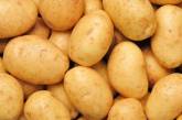 Овес і картопля: недорогі і корисні продукти