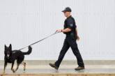 В Канаде боевой пес нечаянно выстрелил из пистолета