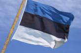 Эстония подумывает создать "киберармию"