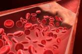 Названы эффективные продукты для улучшения состава крови