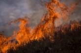Фотопроект о лесных пожарах в США. ФОТО