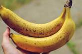 Названы три главные причины, почему нужно есть бананы