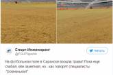 Соцсети «стебутся» над газоном на российском футбольном стадионе. ФОТО