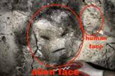 Уфологи «рассмотрели» на древней пещере изображение инопланетянина. ФОТО