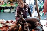 Экзотические животные на индонезийских продовольственных рынках. ФОТО