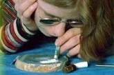 Вашингтонские младшеклассники отравились кокаином в школе