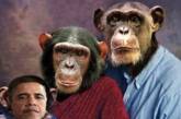 В США республиканка назвала демократа Обаму потомком шимпанзе