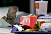 McDonald's пытается спасти Happy Meal через суд