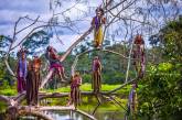 Жизнь бразильских племен в лесах. ФОТО