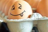 Минагрополитики заверяет, что Украина обеспечена яйцами отечественного производства