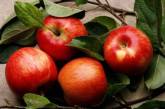 Диетологи рассказали всю правду о пользе яблок для здоровья