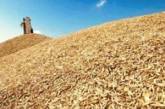 Украина собирается продать половину урожая зерна 