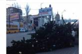 "Ушатало": в Сети стебутся над "пьяной" елкой в оккупированном Донецке. ФОТО