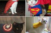 Коты-супергерои подарят настроение на целый день вперед