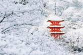 Виртуальное путешествие по заснеженному Киото. Фото