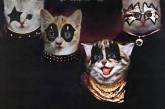 Котята на обложках культовых альбомов. ФОТО