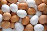 Названы полезные свойства куриных яиц