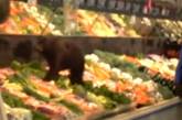 Медвежонок посетил овощной отдел супермаркета на Аляске