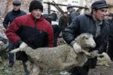 В России хотят запретить резать баранов на улицах