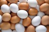 Медики объяснили, как куриные яйца влияют на организм человека