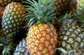 Преступники спрятали 38 килограммов кокаина внутри ананасов