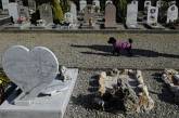 Во Франции из могилы пуделя похитили бриллиантовый ошейник