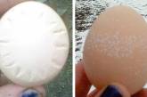Британская курица озадачила метеорологов: по её яйцам можно безошибочно узнать, какой будет погода