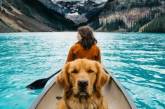 Путешествующая по миру собака стала звездой Instagram. Фото