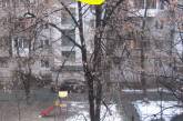 В центре Киева кот третьи сутки не может слезть с дерева 