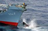 У Японии корабль на полной скорости протаранил кита 