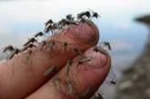 Город мечты: мэр французского города запретил комаров. ФОТО