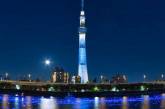 Река в Токио засияла удивительным синим светом во время фестиваля светлячков