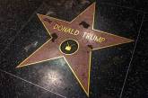 Жители Голливуда требуют убрать звезду Трампа с Аллеи славы