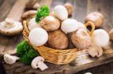 Медики объяснили, какие грибы необходимо есть регулярно