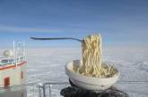 Полярники насмешили мир фоткой лапши на 60-градусном морозе