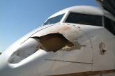 В США самолёт получил огромную пробоину из-за столкновения с птицей