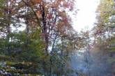 Багряная осень в Карпатах: удивительные фото украинских гор