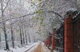 На этой неделе в Украине выпадет первый снег