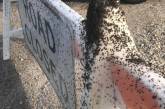 Тысячи пауков вдоль шоссе в Арканзасе. ФОТО