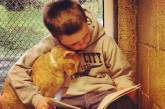 Кошки помогают детям развить навык чтения. ФОТО