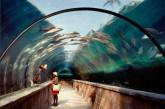 Фотографы показали красоту самых больших аквариумов. ФОТО