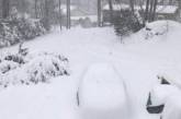 Американцы делятся снимками снежной бури в США. ФОТО
