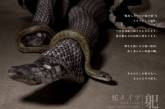 Вместо ног змеи: коллекция омерзительных колготок. ФОТО