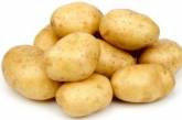 Сколько можно съесть картошки без вреда для здоровья