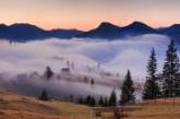 Сказочные Карпаты, окутанные туманом. Фото