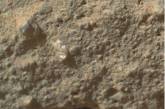 Curiosity обнаружил и сфотографировал загадочный "марсианский цветок" 