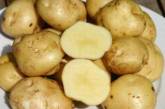 Врачи объяснили, как картофель может повлиять на уровень сахара в крови