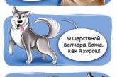 Особенности разных пород собак в прикольных комиксах. ФОТО