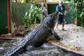 Крокодил Кассиус Клей вернулся в Книгу рекордов Гиннесса после смерти конкурента
